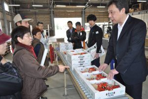 品質や着色の確認をする部会員・市場関係者