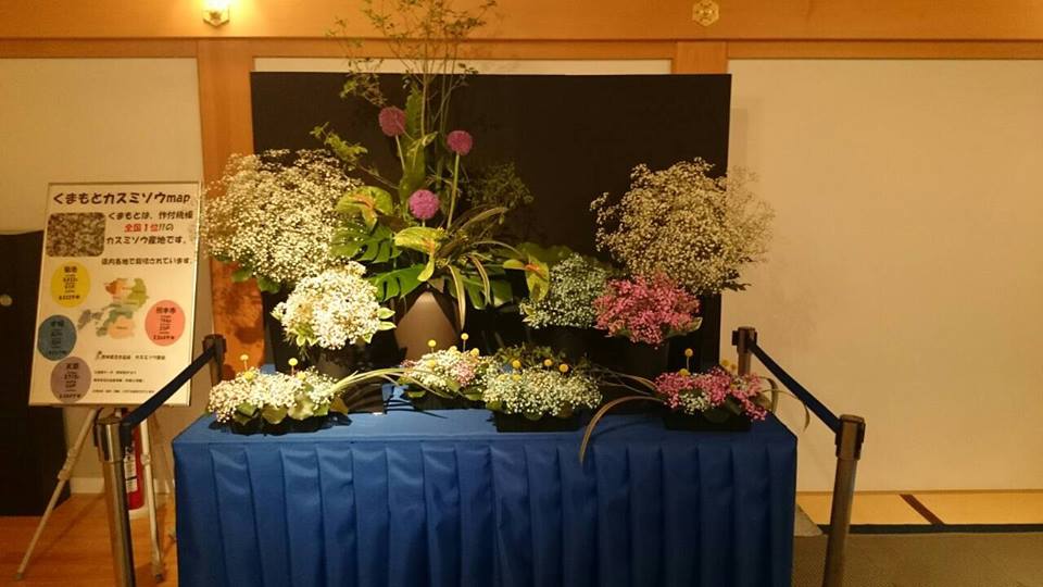写真: 生産量全国1位!カスミソウ展示会