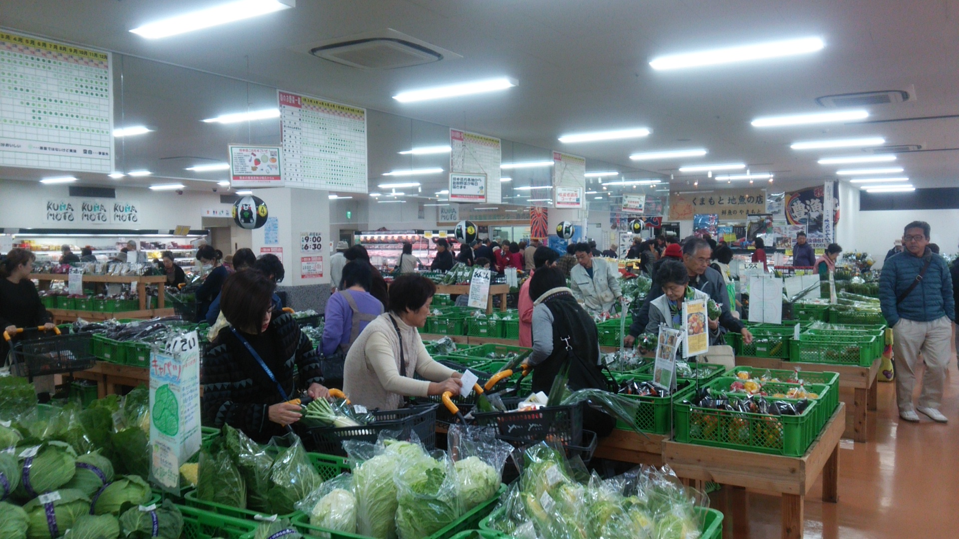 写真: you+youくまもと農畜産物市場 おかげさまで創業17周年大創業祭