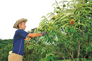渡辺豊さん / 天草市深海町