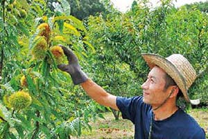 渡辺豊さん / 天草市深海町