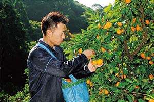 大無田光幸さん/球磨郡球磨村