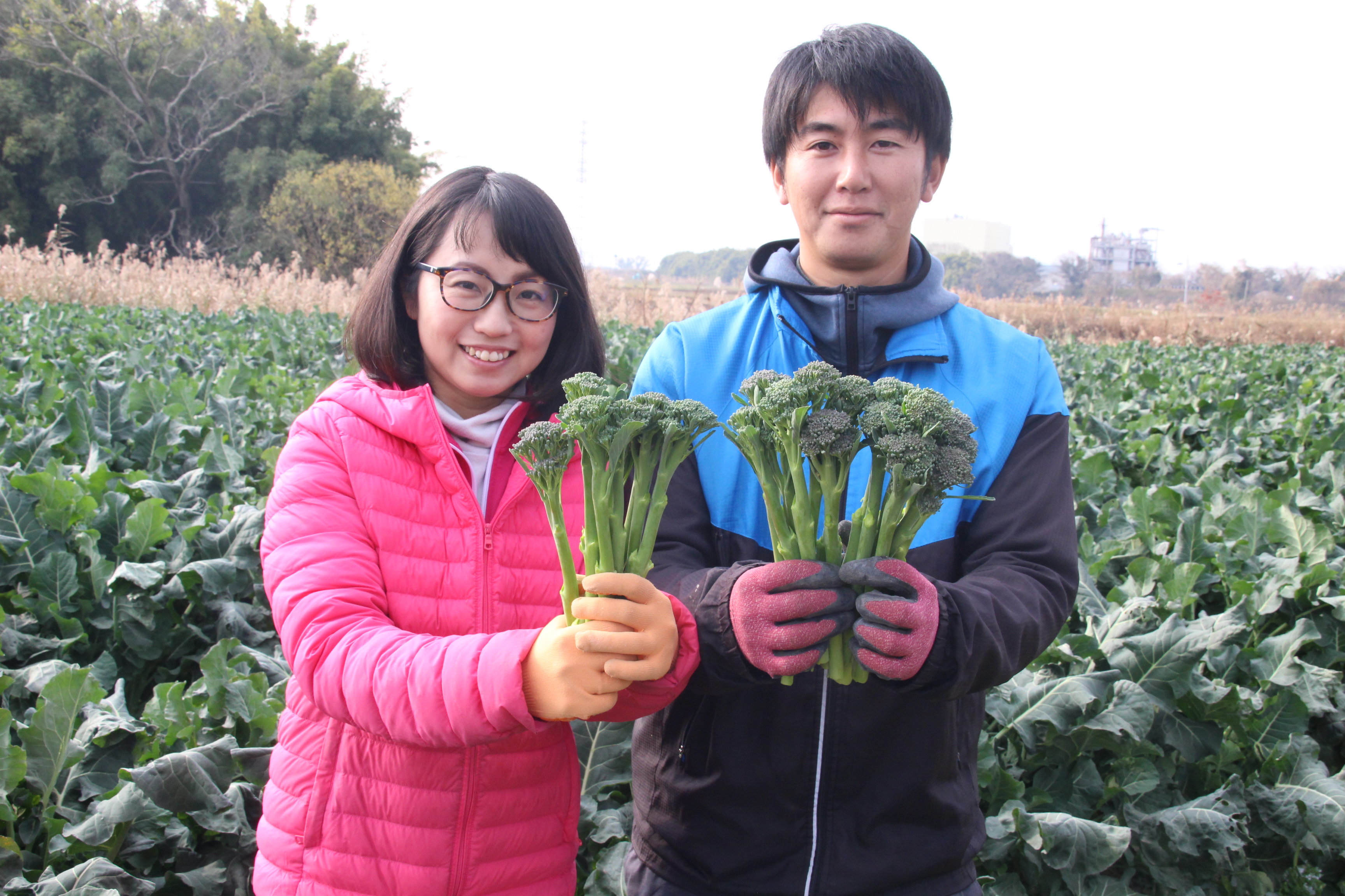 スティックセニョール 新年の茶の間に ｊａ熊本市 新着情報一覧 ｊａグループ熊本