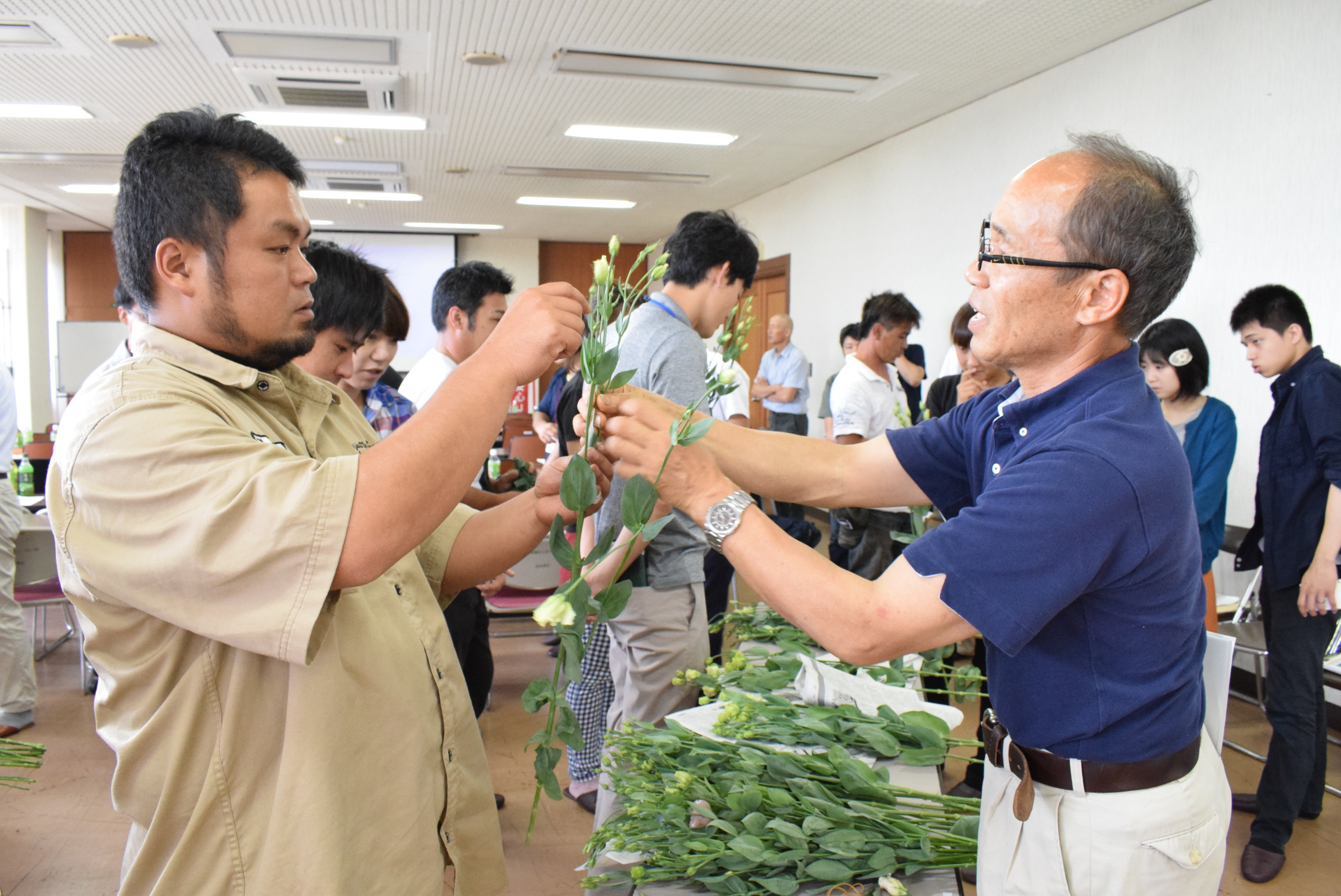 トルコギキョウ 芽整理栽培技術学ぶ ｊａ熊本経済連 新着情報一覧 ｊａグループ熊本