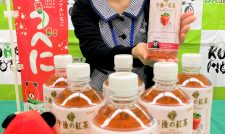 熊本県産「ゆうべに」使用 イチゴ香る午後の紅茶 キリンから発売　ＪＡ熊本経済連
