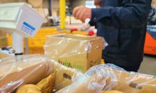 春の味覚タケノコ　出荷本格化　ＪＡくま