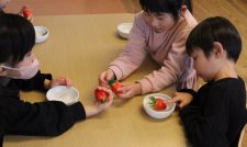 旬の「ゆうべに」を園児らへ提供　ＪＡ熊本経済連