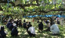 ４年ぶりに研修会開催　果樹技術者育成に取り組む 　ＪＡ熊本果実連