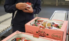 イチゴ「ゆうべに」初出荷　大玉で品質良好　ＪＡたまな