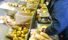 タケノコ出荷本格化　ＪＡたまな