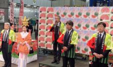 「夢大地かもと」スイカ　東京・大阪市場でＰＲイベント開催　ＪＡ鹿本