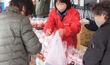 安全・安心な地元産トマトをＰＲ　ＪＡくま