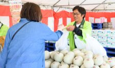 生産者が宇城産メロンをＰＲ　ＪＡ熊本うき