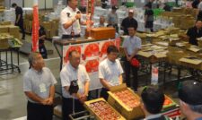 夏秋野菜販売力強化へ　ＪＡ阿蘇