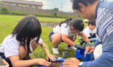 地元小学生へミニトマト苗植え指導　ＪＡ阿蘇