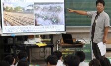 小学生にキャベツの授業を開く　ＪＡ熊本市