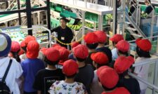 小学生ミカンの選果を見学 JA熊本市