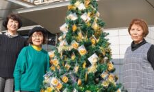 ＪＲでミカンツリーがお出迎え　ＪＡたまな