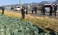 営農指導員合同現地研修会　ＪＡやつしろ