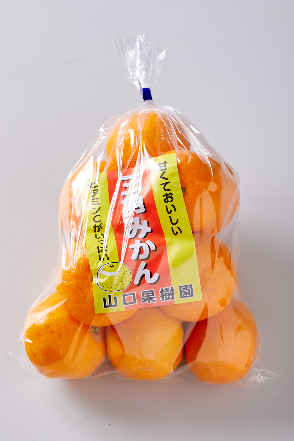 写真: 山口さんの早生みかん