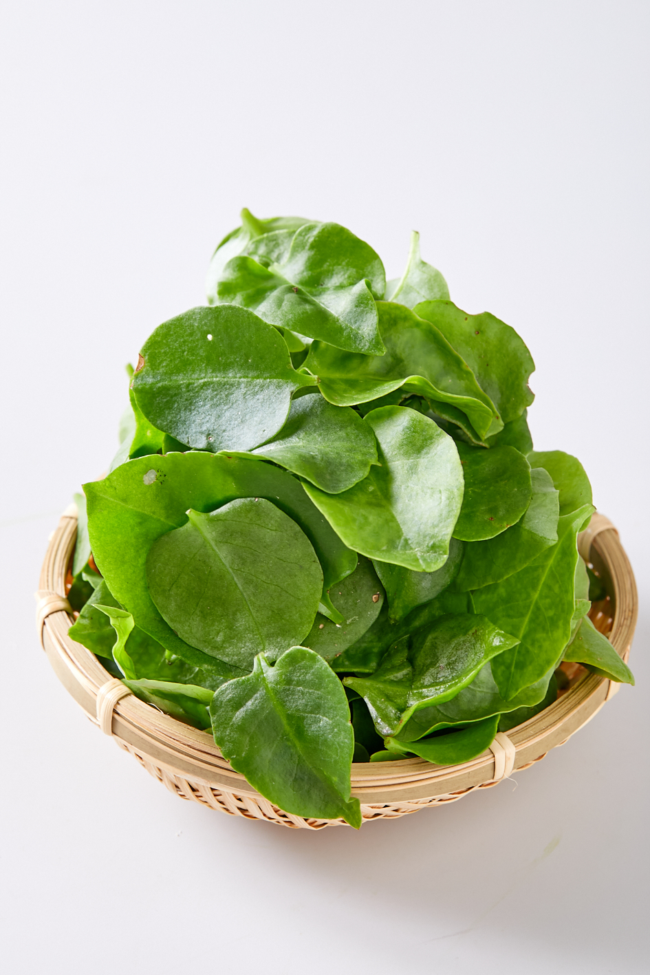 写真: 高倉さんのオカワカメ