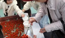 アグリフェスタ２０２５農業祭開催　ＪＡ本渡五和